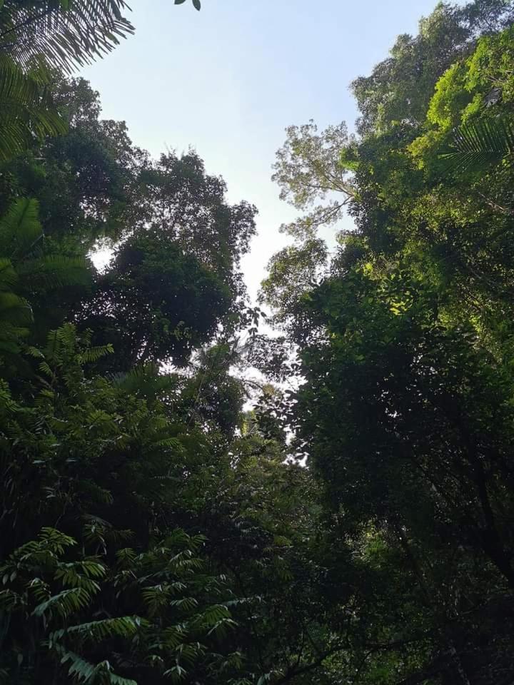 Naura Roomstay Kuala Tahan Esterno foto