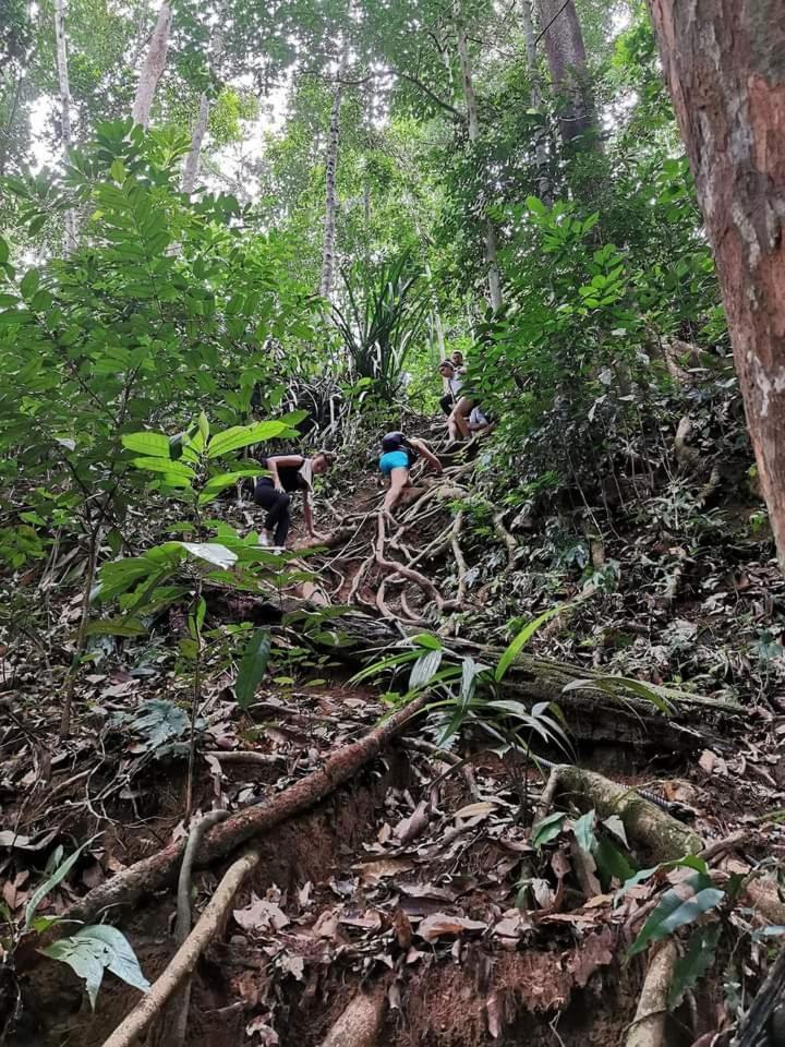 Naura Roomstay Kuala Tahan Esterno foto