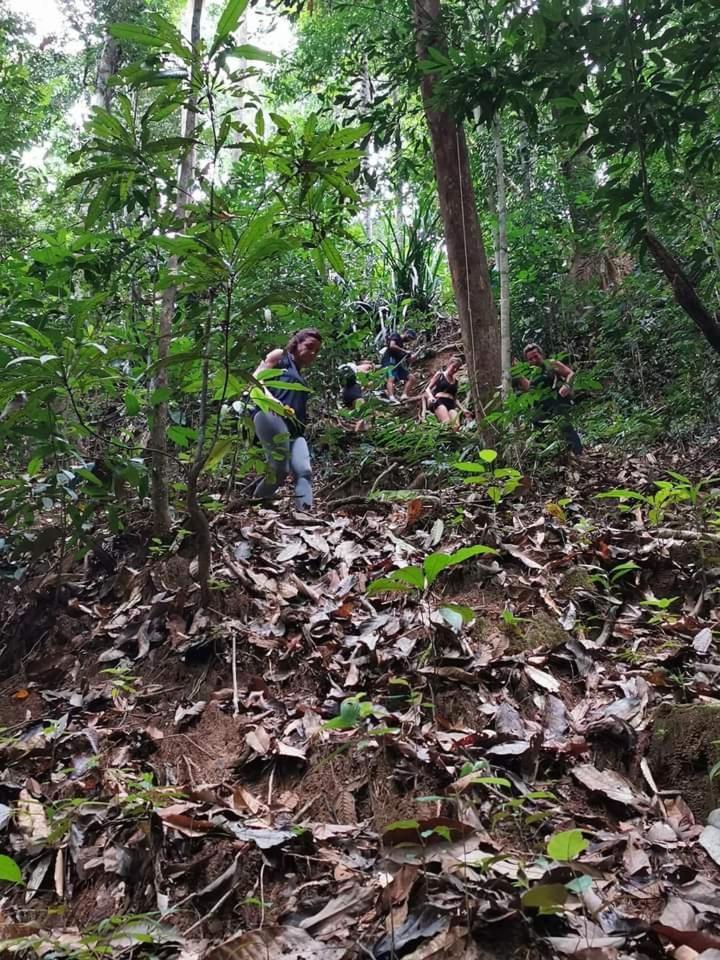 Naura Roomstay Kuala Tahan Esterno foto