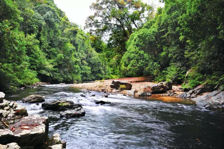 Naura Roomstay Kuala Tahan Esterno foto
