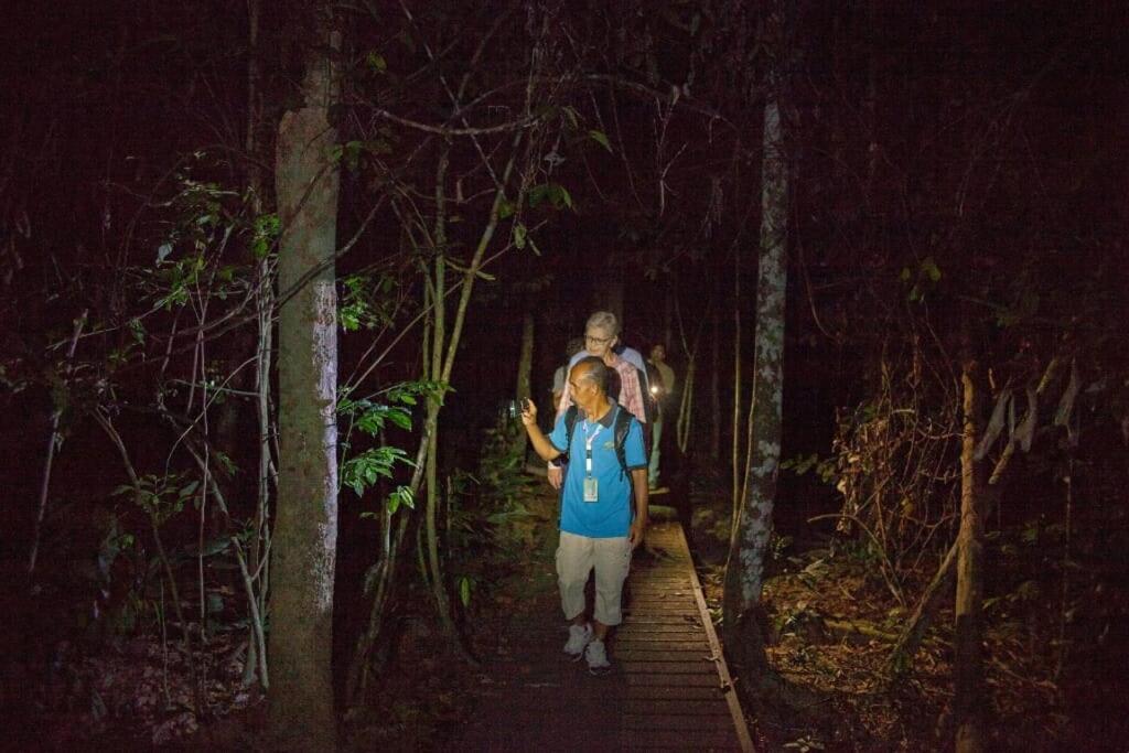 Naura Roomstay Kuala Tahan Esterno foto